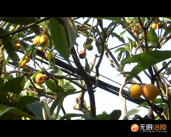 旅游盘点2.mov.00_00_14_22.静止009