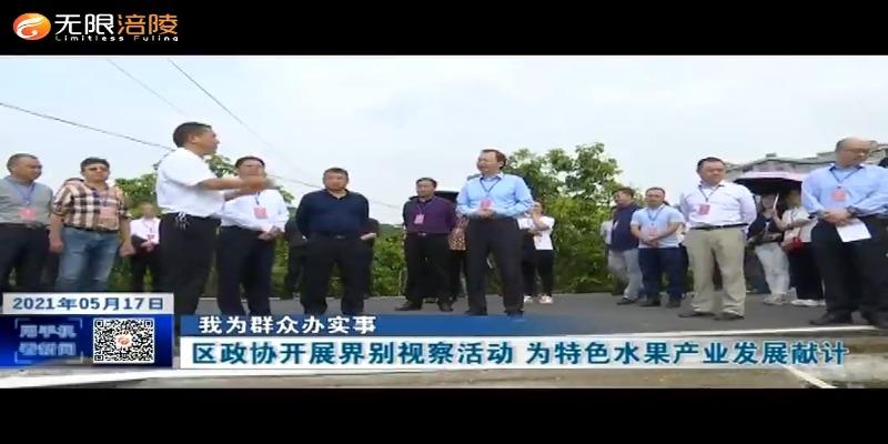 【我为群众办实事】区政协开展界别视察活动 为特色水果产业发展献计