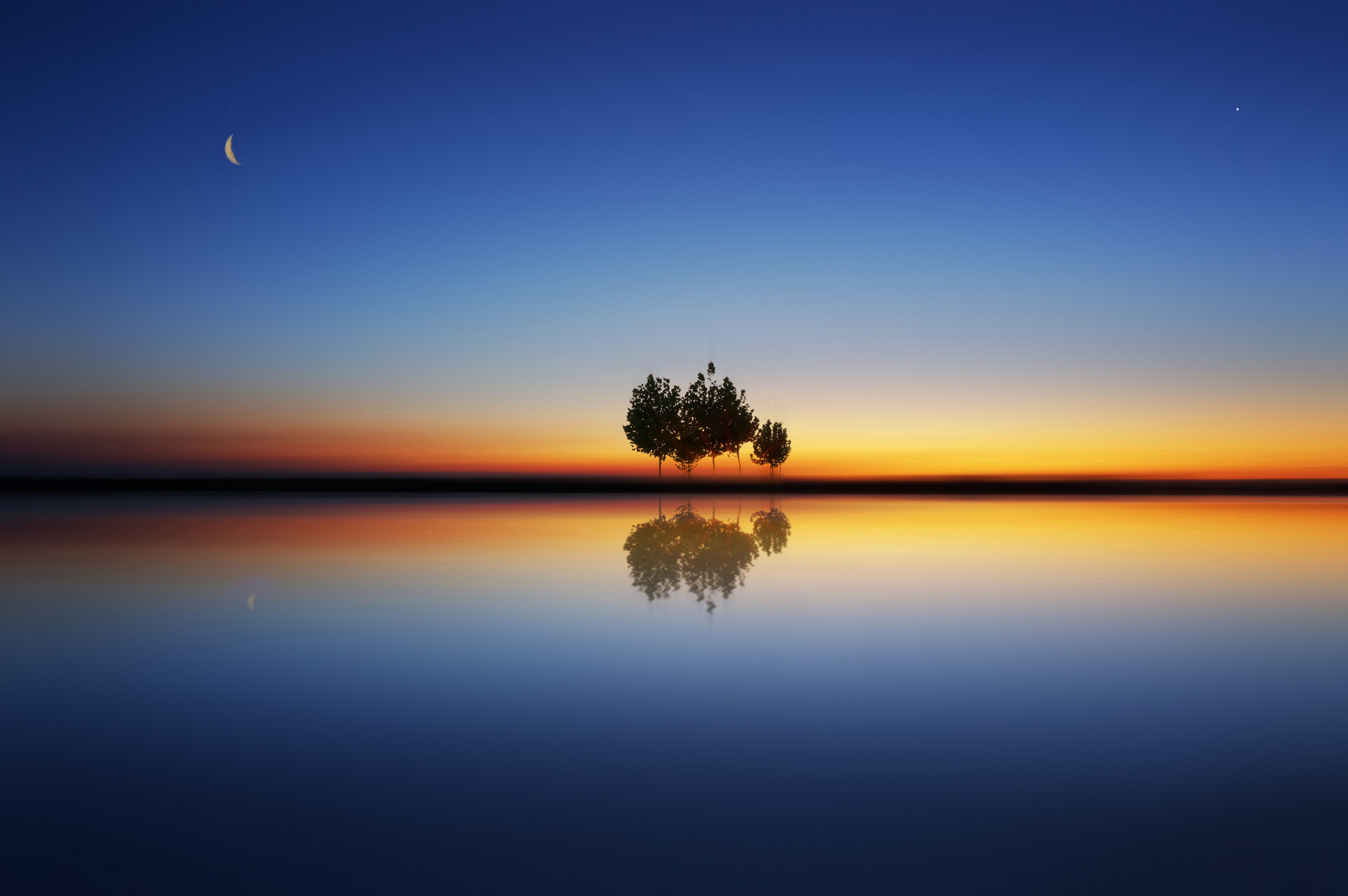 摄图网_500280343_banner_水中树（企业商用）