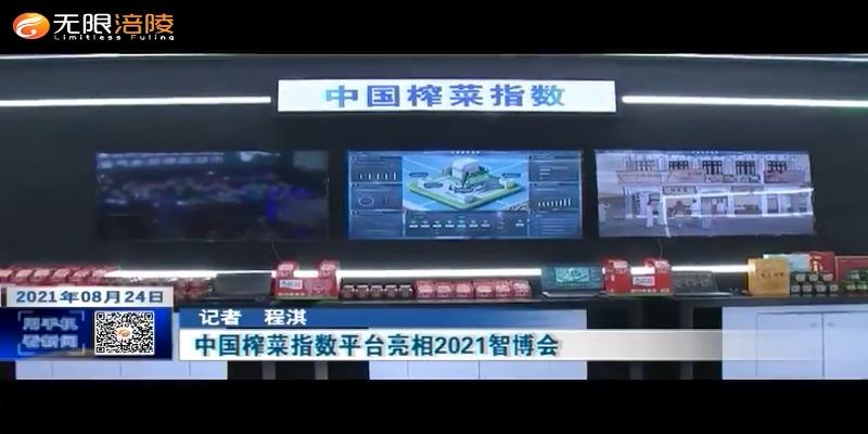 ​中国榨菜指数平台亮相2021智博会