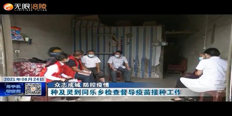 【众志成城 防控疫情】种及灵到同乐乡检查督导疫苗接种工作