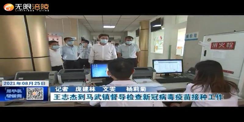 ​【众志成城  防控疫情】王志杰到马武镇督导检查新冠病毒疫苗接种工作