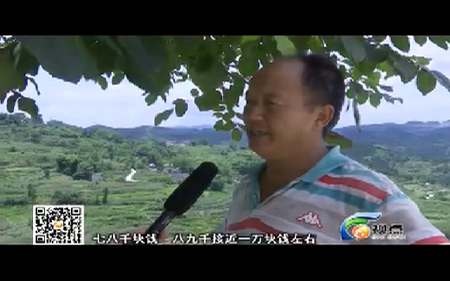 【视点】誓将青山变“金山”190724