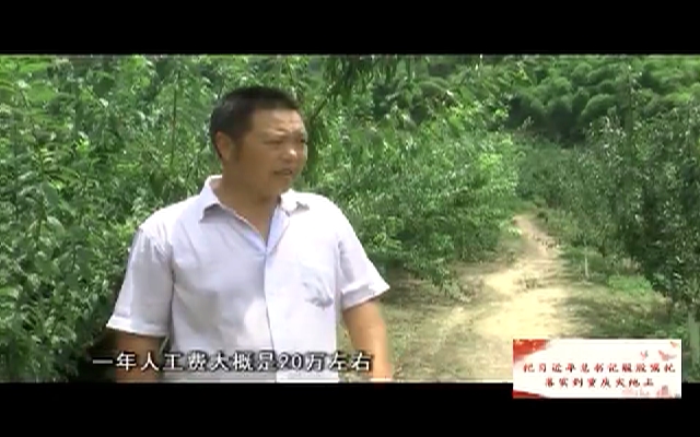 【涪陵新闻】190727