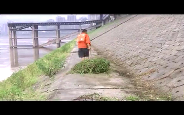 【涪陵新闻】190808