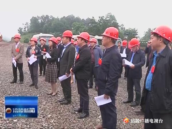 市区人大代表视察马龙路建设情况