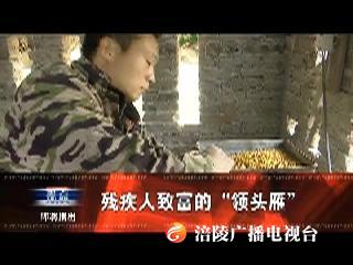 【视点】残疾人致富的