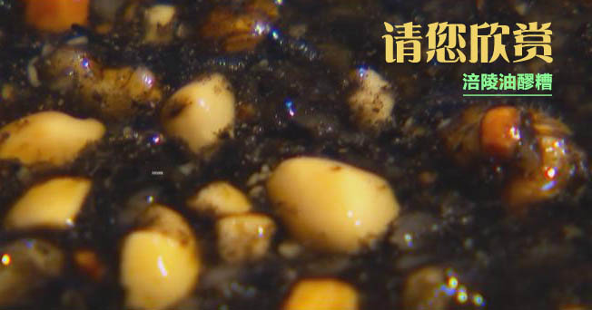 特色涪州.涪陵油醪糟