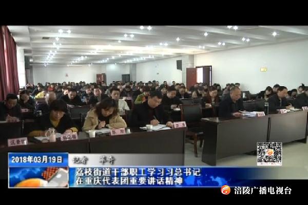 【推动重庆各项事业沿着总书记指引的方向奋力前行】荔枝街道干部职工学习习近平总书记在重庆代表团重要讲话精神