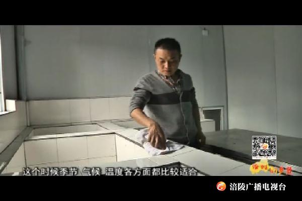 【涪州新乡贤】“高龄”创业者颜怀勇：品质为先 诚信为商