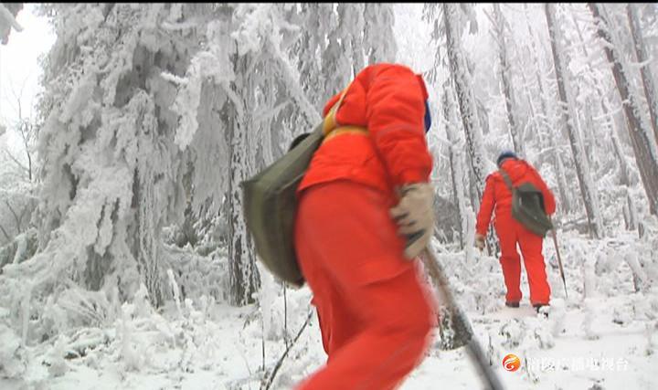 风雪寒冬里，他们是冰山上一道独特的风景！