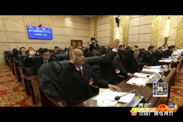 【两会特别报道】区五届人大三次会议举行主席团第一次会议