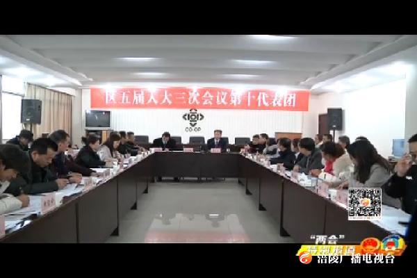 【“两会”特别报道】人大代表分团审议区人大常委会 “两院”工作报告