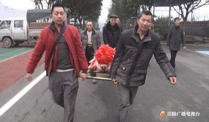 送年猪、慰问金、防寒服...... 真切关怀暖人心