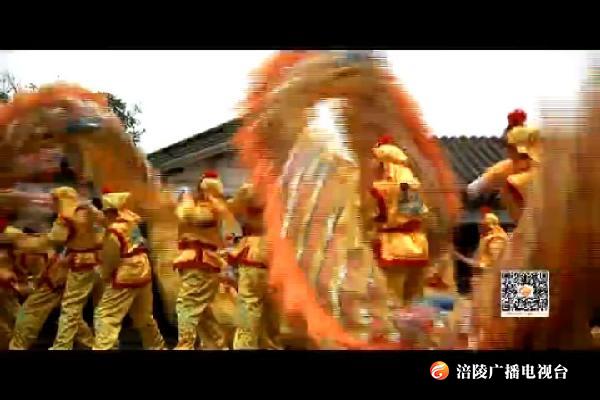 舞龙戏“猪”看大展 热热闹闹迎新年