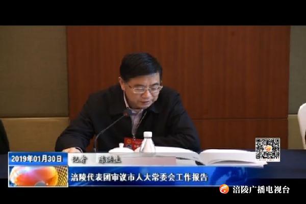 涪陵代表团审议市人大常委会工作报告