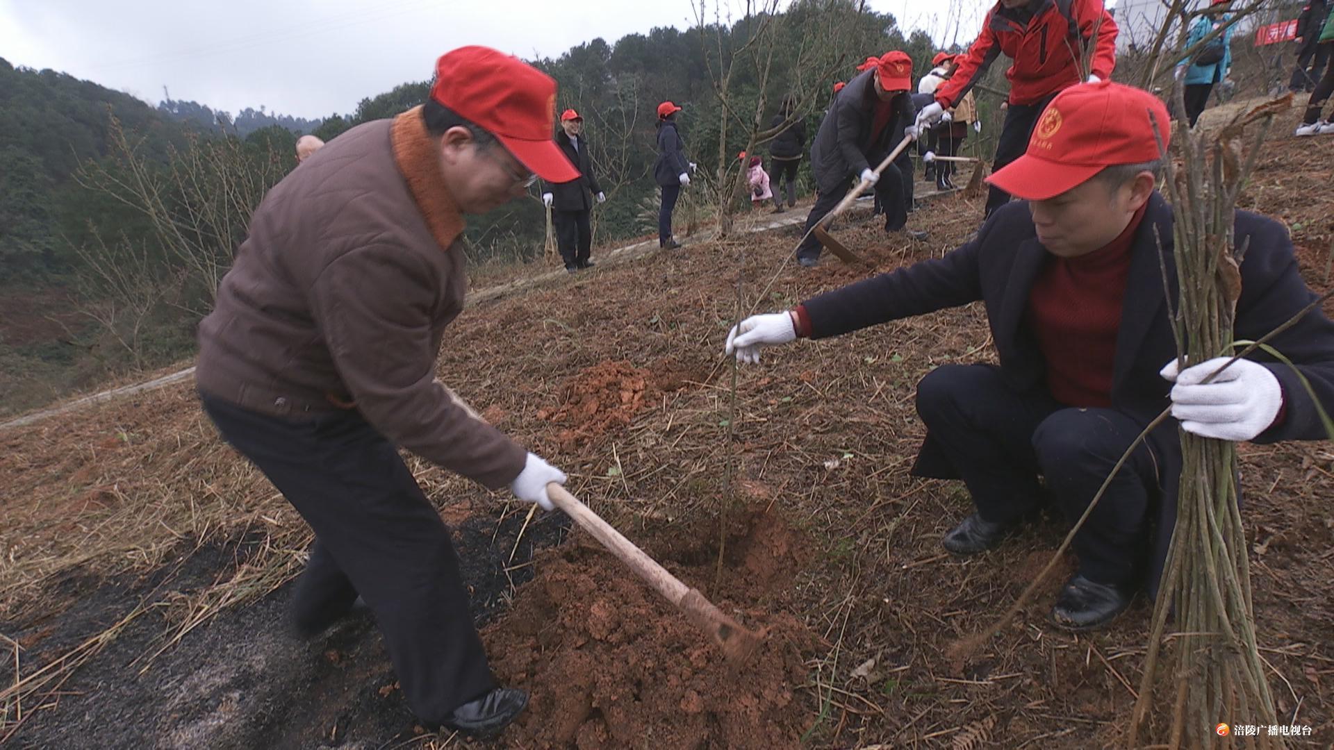 ​知否知否，这个时节适合做这件事 为涪陵添新绿