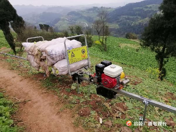 【即时新闻】厉害了我的大涪陵 青菜头坐“轻轨”下山