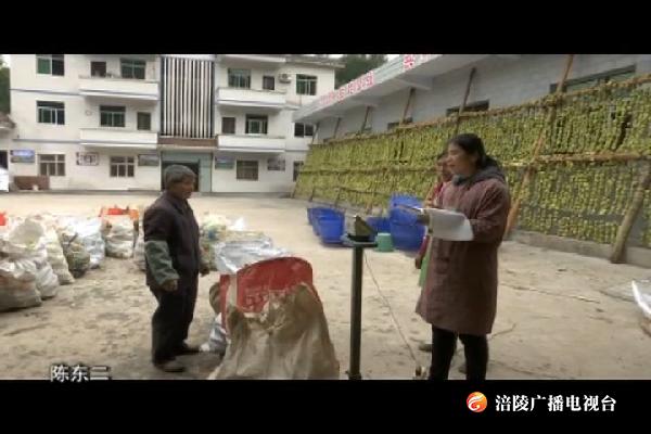 【看效果】今年专项扶贫资金到位 助力1500贫困户脱贫
