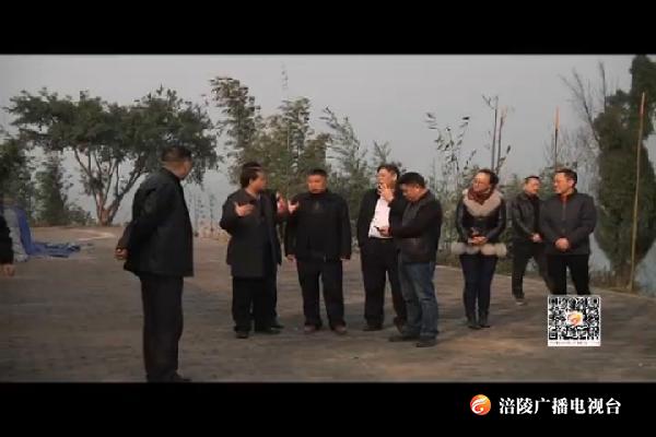 区领导调研南沱镇乡村振兴和三变改革产业扶贫工作