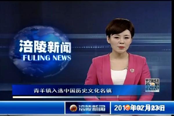 涪陵新闻190223