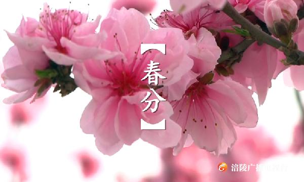 注意“春捂”！春分“撞上”冷空气 未来三天最高气温下降12℃