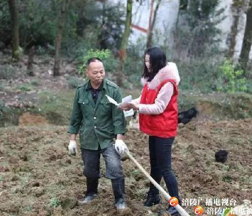 你知道吗？种了这些植物就是犯罪！