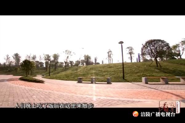 【看效果】我区打造8千米城市绿色走廊    增“颜值”提“气质”