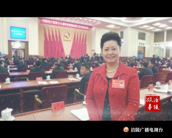 寻访涪陵三英：刘英