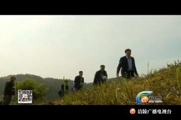 【视点】为民谋发展  帮困暖民心 190422
