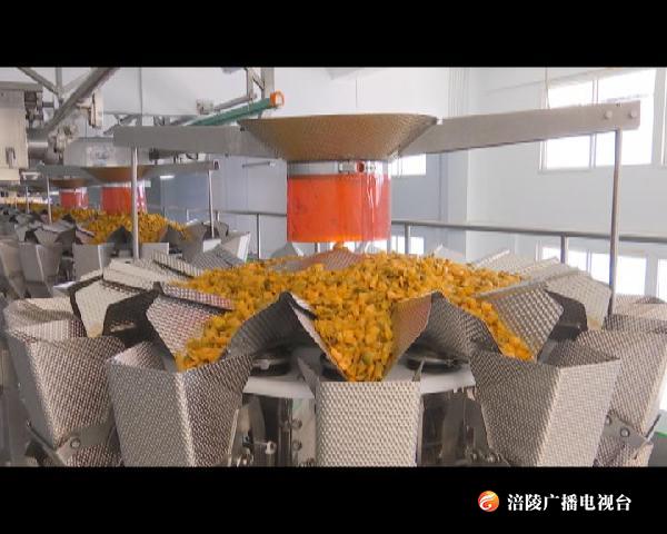【壮丽70年·奋斗新时代】小小榨菜的数字经