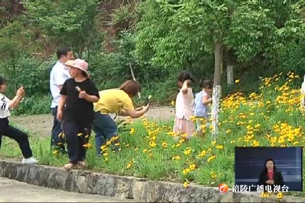 “五一”小长假：不文明旅游现象仍存在  志愿服务让文明成最美风景