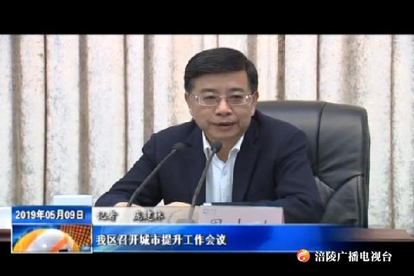 我区召开城市提升工作会议
