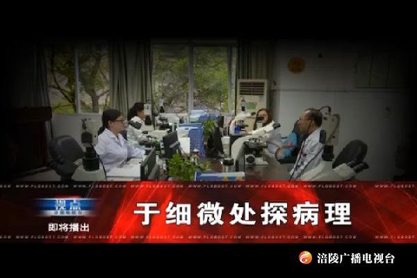 【视点】于细微处探病理  190513