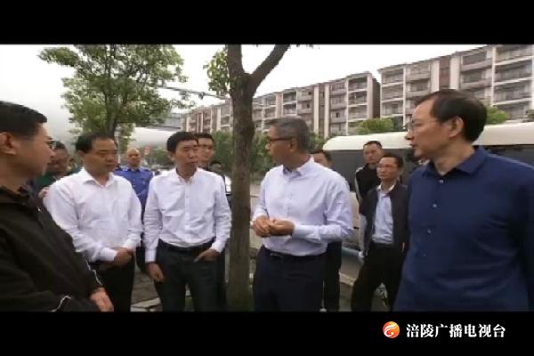 种及灵调研城市管理暨“五沿”农房外立面改造工作