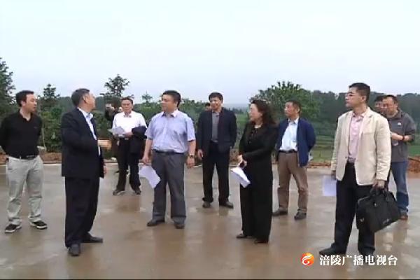 粮食行政首长责任制督导巡查组来涪检查工作