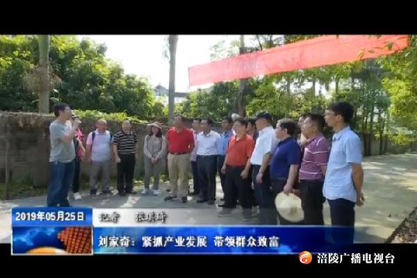 【把习近平总书记殷殷嘱托落实到重庆大地】刘家奇：紧抓产业发展_带领群众致富