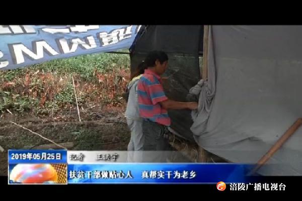 王敏：做贫困户的贴心人__真帮实干为老乡