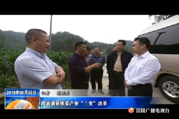 周波调研榨菜产业“三变”改革