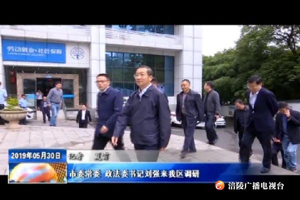 市委常委 政法委书记刘强来我区调研