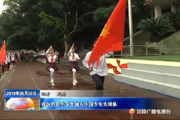 我区万名小学生加入中国少年先锋队