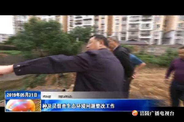 种及灵督查生态环境问题整改工作