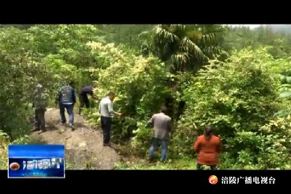 【把习近平总书记殷殷嘱托落实到重庆大地】脱贫攻坚进行时：宣王村“变形记”