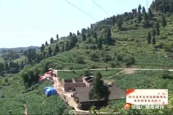 【把习近平总书记殷殷嘱托落实到重庆大地】江东街道：打通交通“毛细血管”  助力脱贫攻坚