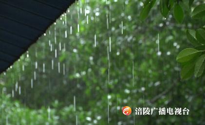 凉！爽！啊！降雨来了，降温还会远吗~