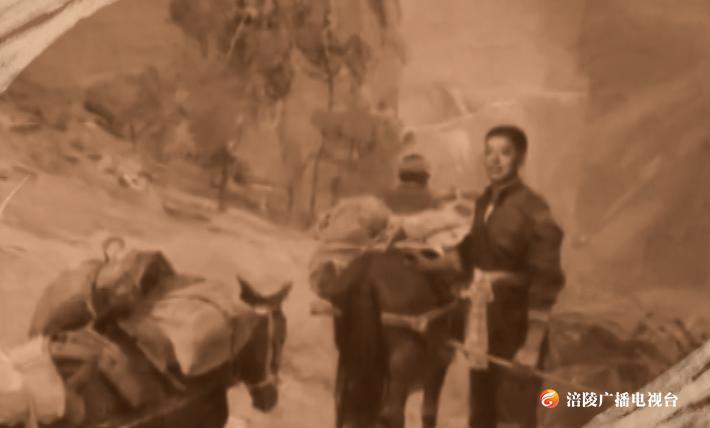 【节目预告】红色记忆：贺龙在涪陵