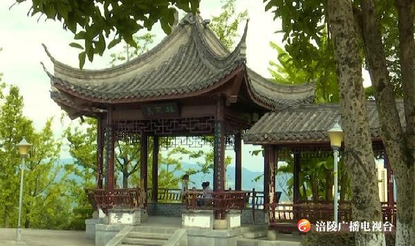 中秋小长假，正是赏花时......