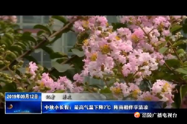 中秋小长假：最高气温下降7℃    阵雨相伴享清凉