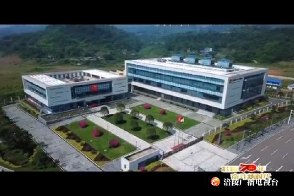 【壮丽70年 奋斗新时代】数聚涪陵 云领未来   智能化为经济赋能为生活添彩