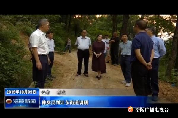 种及灵到江东街道调研